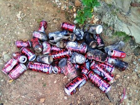 Article : Et si la Brasimba s&rsquo;adaptait &agrave; la concurrence du Lion sri-lankais?